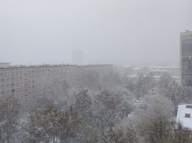 Дождь, переходящий в снег, прогнозируют в Курганской области