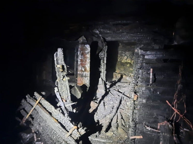 Тела двух мужчин обнаружили при тушении пожара в курганском селе