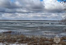 spasateli zavershili operacziyu na ozere dubrovnoe v mishkinskom okruge-stanural-ru-174384058900-0