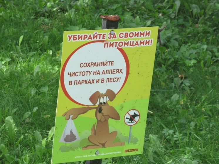 Жительница Екатеринбурга похоронила собаку во дворе