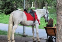 Свердловский суд утвердил выплату 714 тыс. за ДТП с Volkswagen в Сысерти sverdlovskij sud utverdil vyplatu 714 tys za dtp s v syserti-stanural-ru-174538821800-0