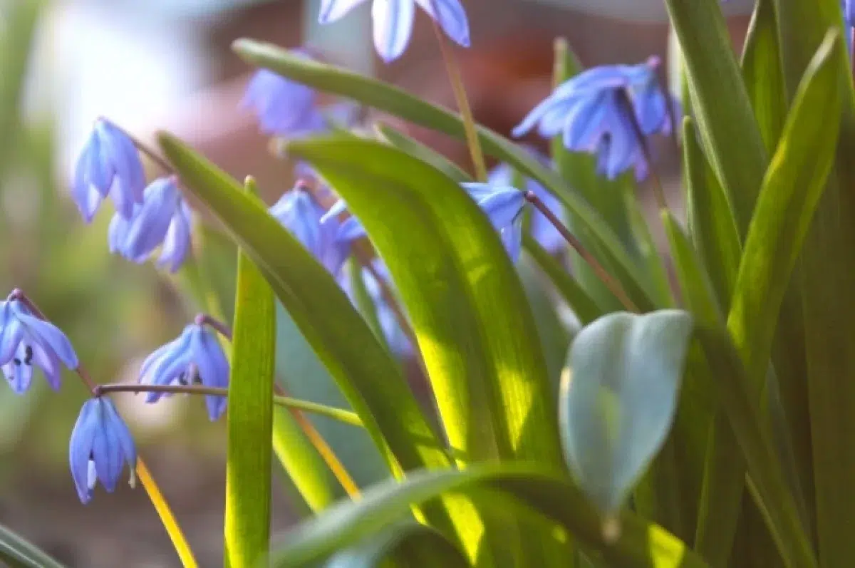 Свердловскую область ждет солнечное потепление по прогнозам Уралгидрометцентра-0