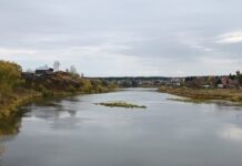 tobol i iset raduyut kurgan dinamichnym podyomom vodnoj gladi-stanural-ru-174445542500-0