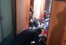 ufssp sverdlovskoj oblasti pomogla navesti poryadok v kvartire na ul borovoj 24-stanural-ru-174417457900-0