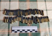 v katajskom okruge predotvratili narushenie i izyali boepripasy-stanural-ru-174576354300-0