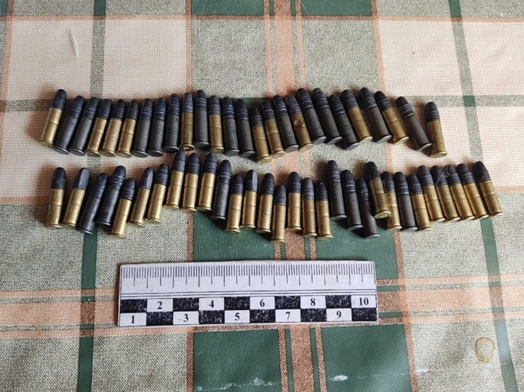 Полиция изъяла у курганца незаконно хранящиеся патроны