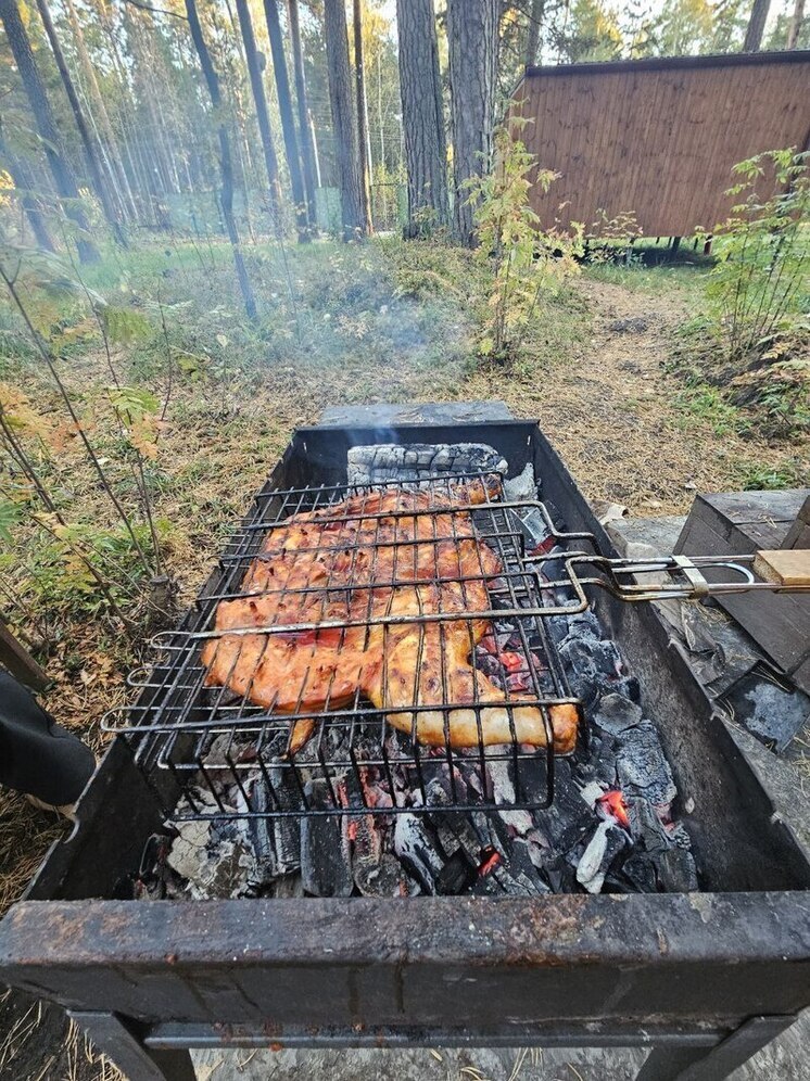 Вырос интерес свердловчан к местам отдыха с шашлыками