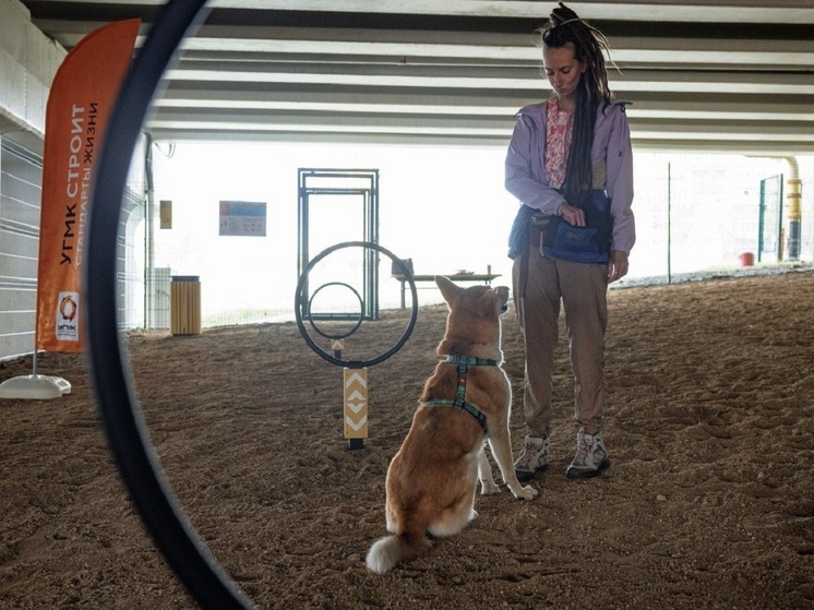 Площадку для выгула собак открыли на набережной Исети в Екатеринбурге