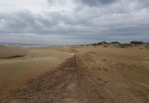 Андрей Старостин рассказал о струвитной технологии очистки Черного моря andrej starostin rasskazal o struvitnoj tehnologii ochistki chernogo morya-stanural-ru-174825041000-0