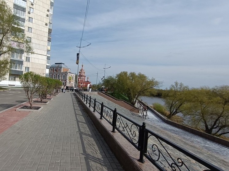 В Кургане украли праздничные цветы с Кировского моста