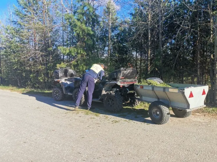 Свердловчанин попал в реанимацию после столкновения с болотоходом