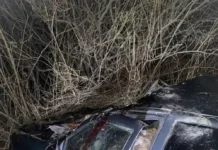 avariya s losem i ladoj priora v kurganskoj oblasti napominaet o na dorogah-stanural-ru-174710156800-0