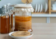 Чайный гриб и биоразлагаемый материал вдохновляют на инновации в моде chajnyj grib i biorazlagaemyj material vdohnovlyayut na innovaczii v mode-stanural-ru-174870280100-0