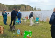 Денис Мамонтов сообщил о нарушениях пожарной безопасности в Свердловской области denis mamontov soobshhil o narusheniyah pozharnoj bezopasnosti v sverdlovskoj oblasti-stanural-ru-174710154400-0