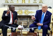 donald tramp i siril ramafosa obsuzhdayut 747 s uchetom katar-stanural-ru-174785490400-0