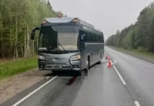 dtp s avtobusom kia na trasse prokommentirovala gosavtoinspekcziya umvd-stanural-ru-174825862600-0 - stanural