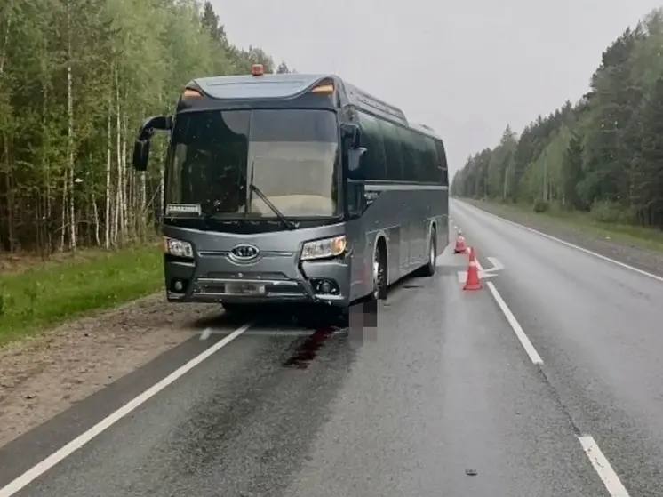 Рейсовый автобус насмерть сбил мужчину на трассе «Иртыш»