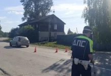 Госавтоинспекция Екатеринбурга призывает к вниманию из-за ДТП с Тойота gosavtoinspekcziya ekaterinburga prizyvaet k vnimaniyu izza dtp s tojota-stanural-ru-174870929000-0