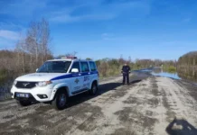 gosavtoinspekcziya informiruet ob operativnyh merah na avtodoroge sosva gari-stanural-ru-174818919700-0 - stanural