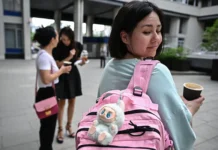 Госдума создаст закон о детских игрушках на фоне тренда Labubu и звезд вроде Ким Кардашьян gosduma sozdast zakon o detskih igrushkah na fone trenda i zvezd vrode kim kardashyan-stanural-ru-174862391400-0