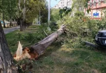 ГУ МЧС России предупредило свердловчан об усилении ветра в регионе gu mchs rossii predupredilo sverdlovchan ob usilenii vetra v regione-stanural-ru-174868260000-0