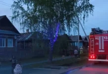 ГУ МЧС Свердловской области оперативно ликвидировал пожар в селе Лая Горноуральского МО gu mchs sverdlovskoj oblasti operativno likvidiroval pozhar v sele laya gornouralskogo mo-stanural-ru-174844097900-0