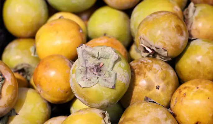 Полезнейший фрукт: почему хурма обязательно должна быть в рационе