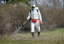 Илья Рыбальченко рассказал о самых «клещевых» районах Москвы и Подмосковья ilya rybalchenko rasskazal o samyh kleshhevyh rajonah moskvy i podmoskovya-stanural-ru-174801913600-0