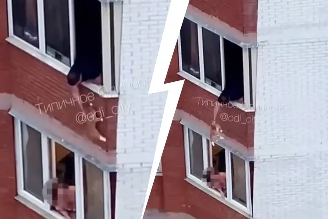 Вытащил из окна и ударил об стену: в Одинцово сняли на видео живодера, который издевался над котом | Источник: Типичное Одинцово / T.me