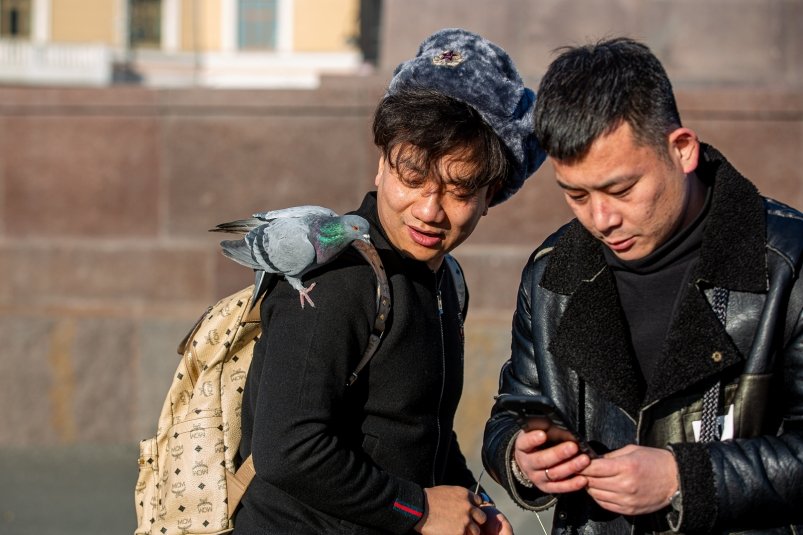 Фото: primamedia.ru