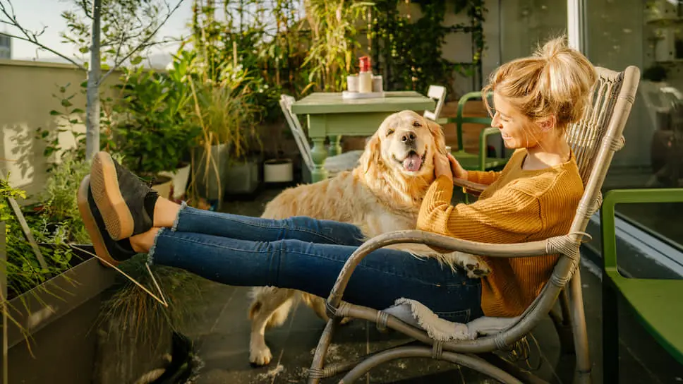 Кристина Недря, Руслан Сырцов и Stone обсуждают влияние террас на рынок новостроек Москвы-0
