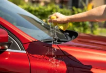 Людмила Бурякова и Сергей Колунов из Союза садоводов России обсудили ответственность за мойку автомобилей lyudmila buryakova i sergej kolunov iz soyuza sadovodov rossii obsudili otvetstvennost za mojku avtomobilej-stanural-ru-174814738800-0