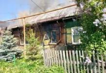 МЧС оперативно ликвидировали пожар на улице Луначарского в Нижнем Тагиле mchs operativno likvidirovali pozhar na ulicze lunacharskogo v nizhnem tagile-stanural-ru-174869179700-0