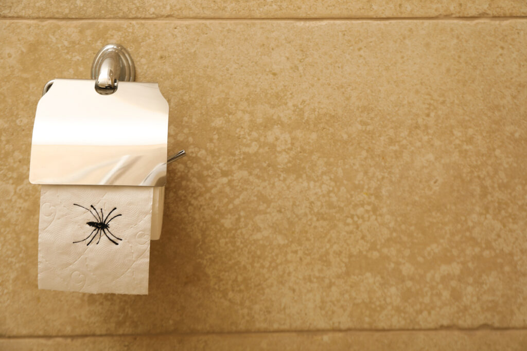 ненастоящий паук на туалетной бумаге