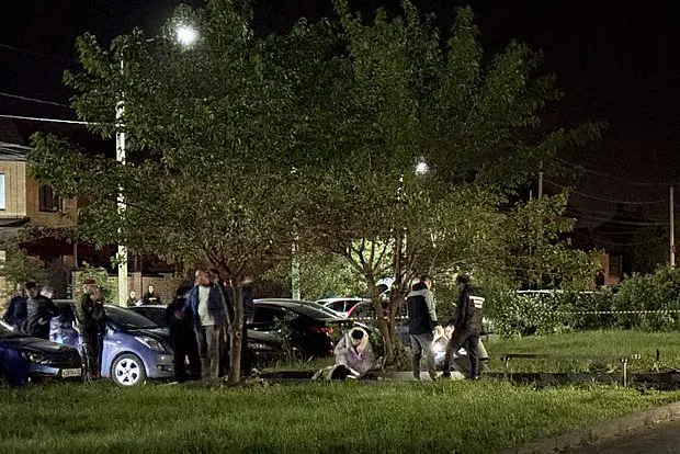 Вводная картинка