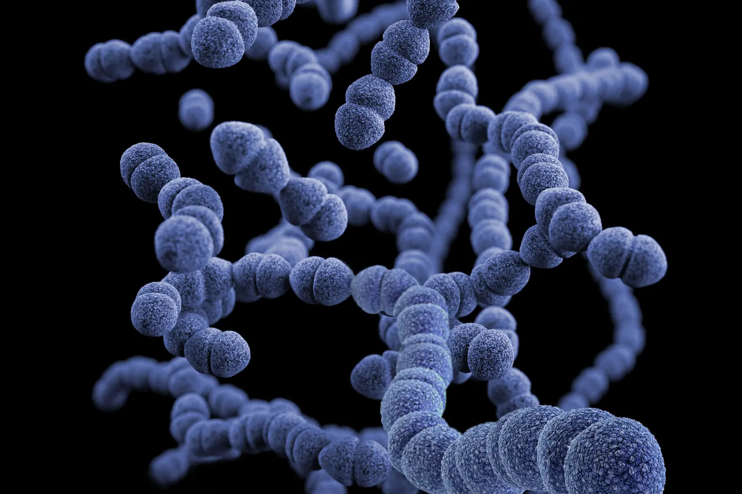 Открытие Pseudomonas aeruginosa и Pap1 в разложении поликапролактона-0