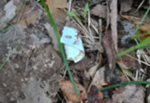 Полицейские Кургана пресекли распространение мефедрона в районе Рябково policzejskie kurgana presekli rasprostranenie mefedrona v rajone ryabkovo-stanural-ru-174749195100-0