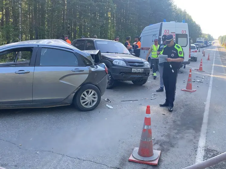 В массовое ДТП на трассе Екатеринбург – Курган попала беременная женщина