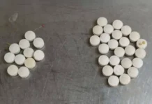 rassledovanie inczidenta s leopardom mizer v moskovskom zooparke prodolzhaetsya-stanural-ru-174837135000-0