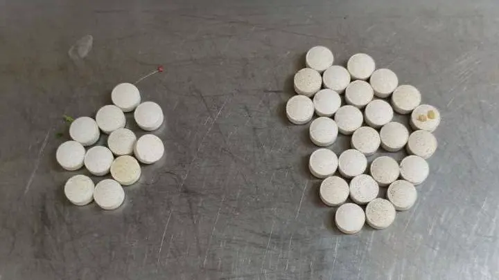 Полиция начала розыск мужчины, пытавшегося отравить животных в Московском зоопарке