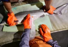 Росрыболовство продлевает защитные меры для осетровых в Каспийском море rosrybolovstvo prodlevaet zashhitnye mery dlya osetrovyh v kaspijskom more-stanural-ru-174791148800-0