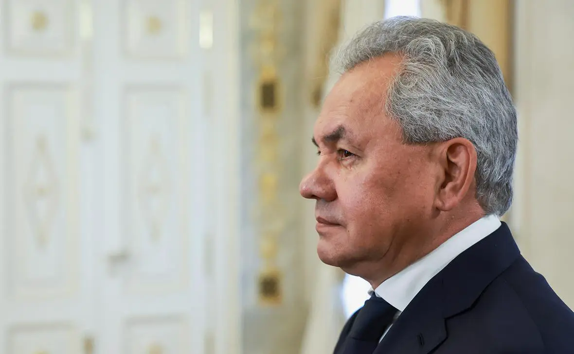 Сергей Шойгу (Вячеслав Прокофьев / ТАСС)