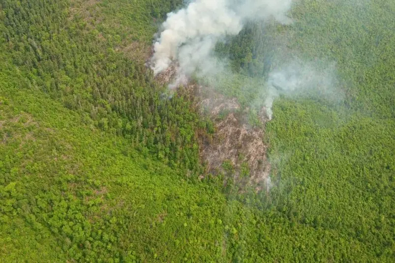 в Сихотэ-Алинском заповеднике после гроз загорелись склоны пресс-служба ФГБУ &quotСихотэ-Алинский государственный заповедник&quot