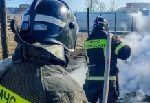 Слаженная работа МЧС помогла предотвратить шесть пожаров в Курганской области slazhennaya rabota mchs pomogla predotvratit shest pozharov v kurganskoj oblasti-stanural-ru-174834756800-0