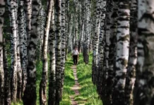 Советы от DSM Group и Контур.Маркет по борьбе с аллергией sovety ot i konturmarket po borbe s allergiej-stanural-ru-174696219100-0