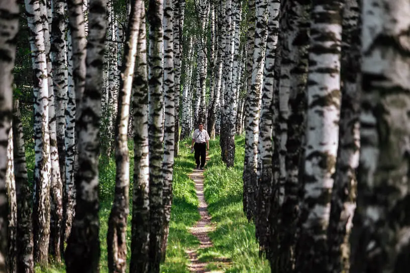 Советы от DSM Group и Контур.Маркет по борьбе с аллергией-0