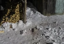 СУ СКР по Свердловской области завершил расследование в Нижних Сергах su skr po sverdlovskoj oblasti zavershil rassledovanie v nizhnih sergah-stanural-ru-174768113500-0