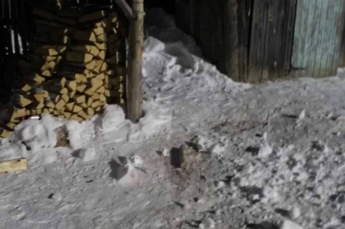 СУ СКР по Свердловской области завершил расследование в Нижних Сергах-0