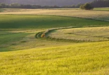 Свердловская область и Белоярский райсуд обсуждают возврат средств по субсидиям АПК sverdlovskaya oblast i beloyarskij rajsud obsuzhdayut vozvrat sredstv po subsidiyam apk-stanural-ru-174775824600-0