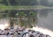 Свердловская область и Горноуральский округ关注уют сезонные подтопления дорог sverdlovskaya oblast i gornouralskij okruguyut sezonnye podtopleniya dorog-stanural-ru-174635529300-0